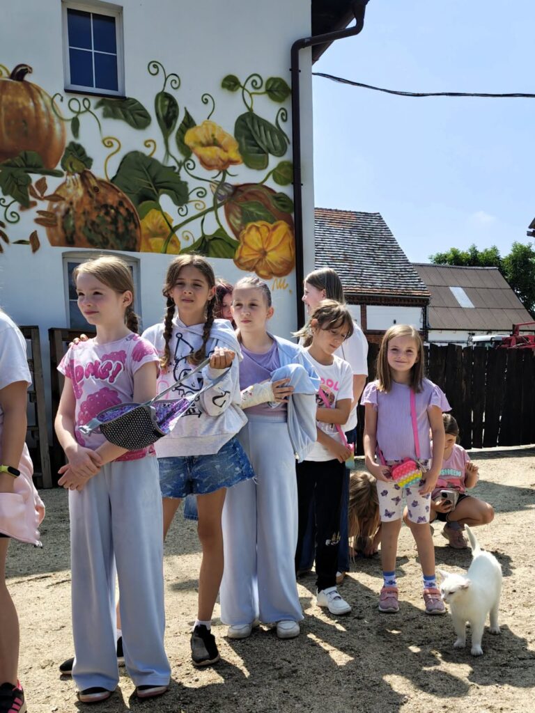 DYNIOWY ZAKĄTEK