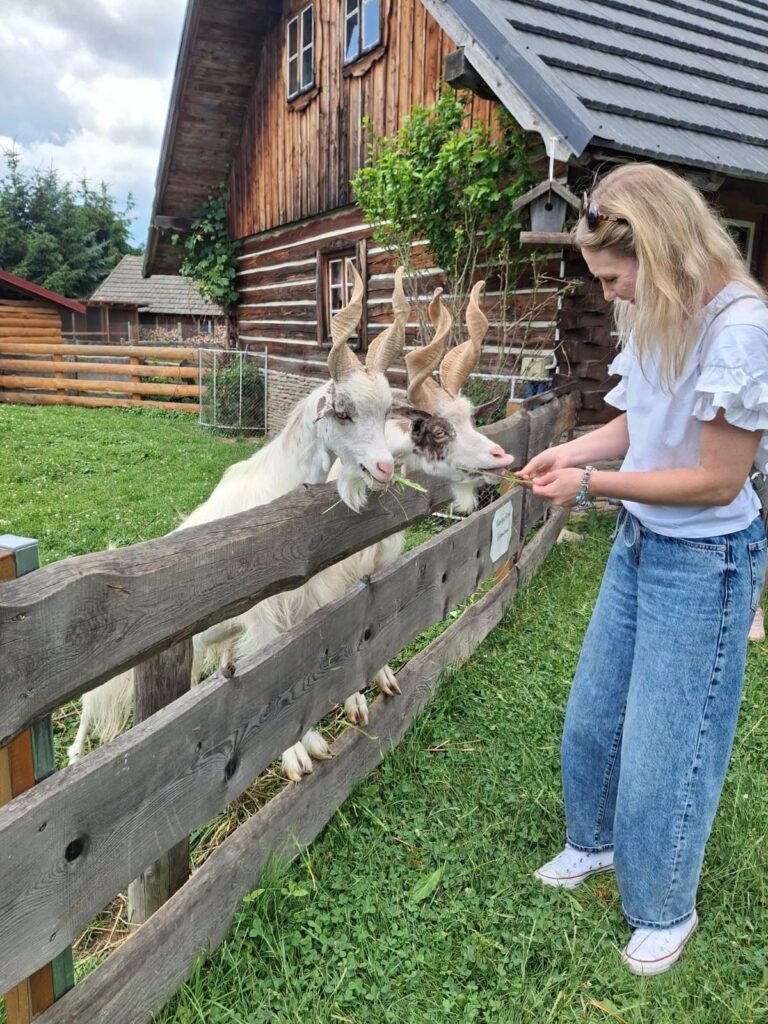 W Kudowie-Zdroju
 Szlak Ginących Zawodów