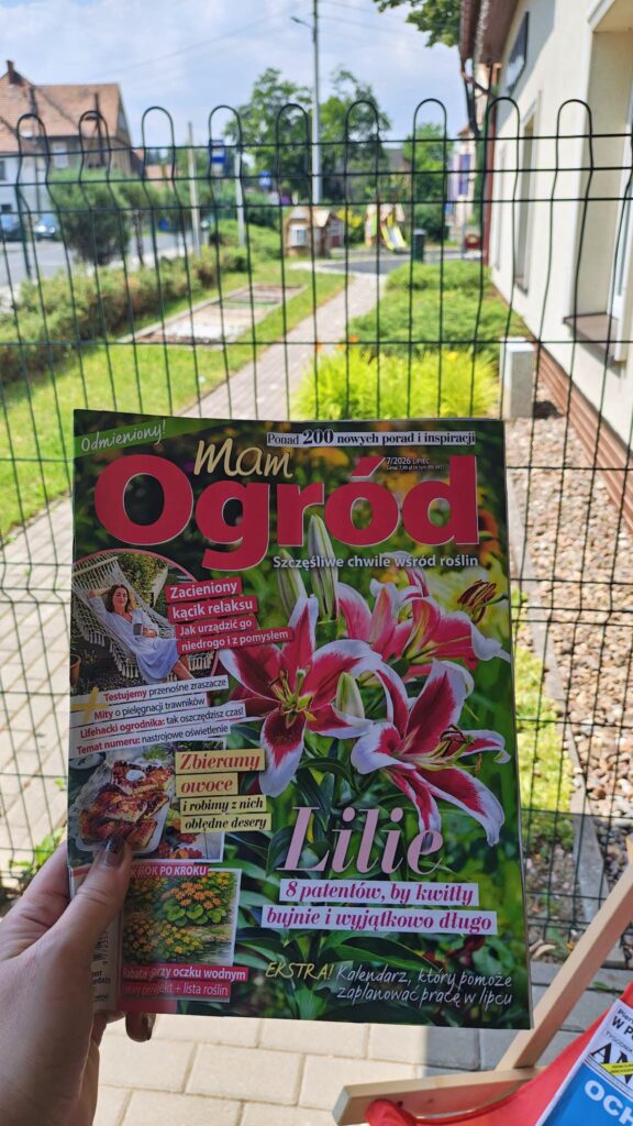 Jak uciec od upału ? To proste, zapraszamy do naszej biblioteki !